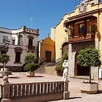 Drago San Antonio Icod De Los Vinos
